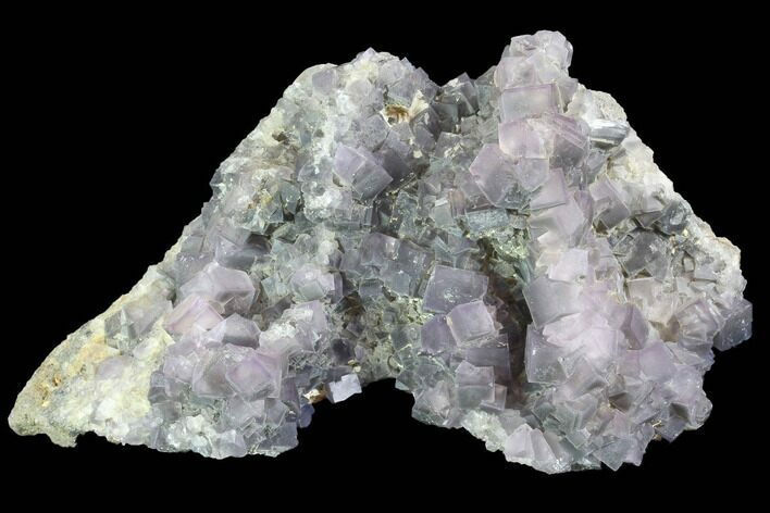 Cluster Of Cubic, Purple Fluorite Crystals - China #87002